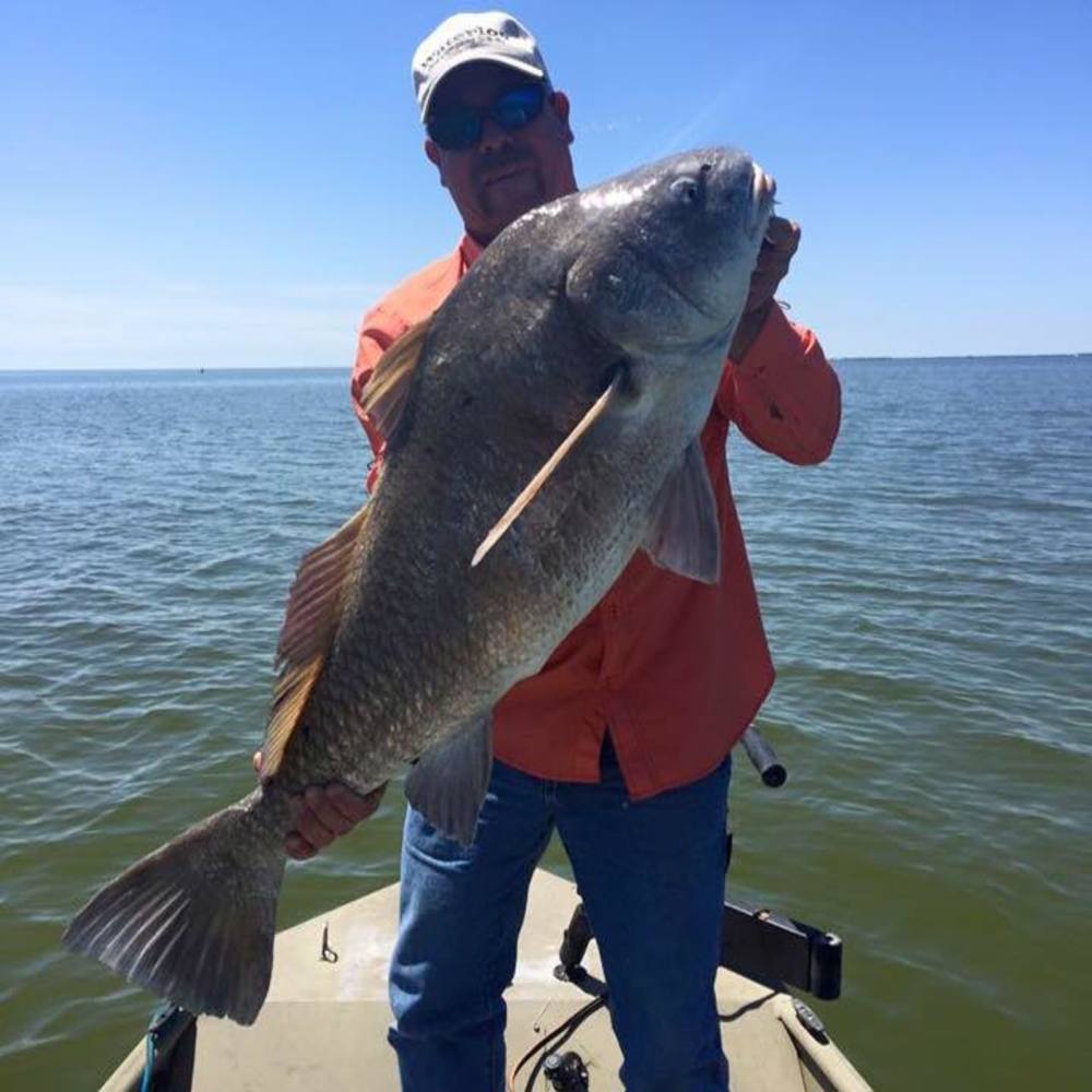 Meet your Posher, Melvin